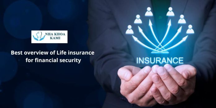 Best overview of Life insurance for financial security